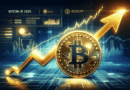 Bitcoin Bull Run 2025: Trends & Strategies